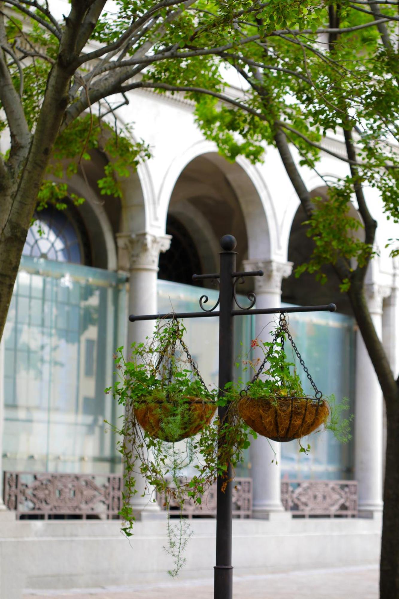 Labotessa Luxury Boutique Hotel Cape Town Exterior foto